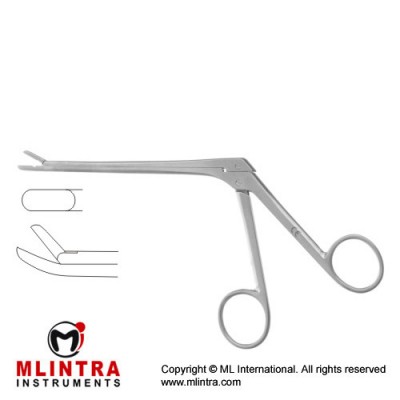 Ferris-Smith Leminectomy Rongeur Up Stainless Steel, 15.5 cm - 6" Bite Size 4 mm